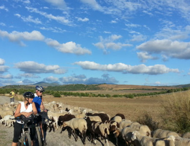 Bike tour from Granada to Ronda (Route of the Almoravids)