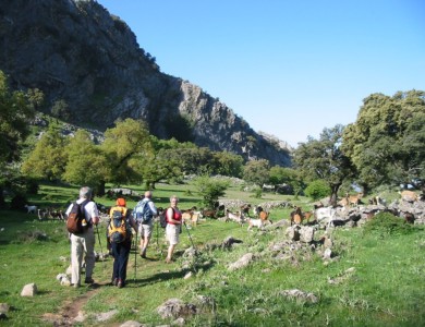 Hiking through the Grazalema Nature Park