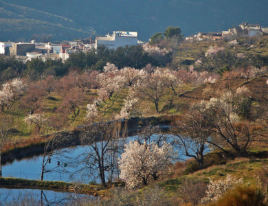 Walking South from Granada