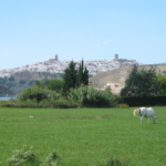 Arcos de la Frontera, fin